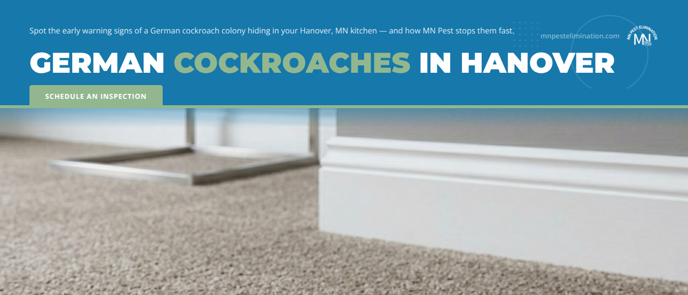 Signs of German Cockroaches in Hanover, MN Kitchens