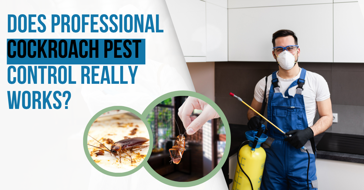 Farewell to Roaches with best Cockroach Pest Control Help
