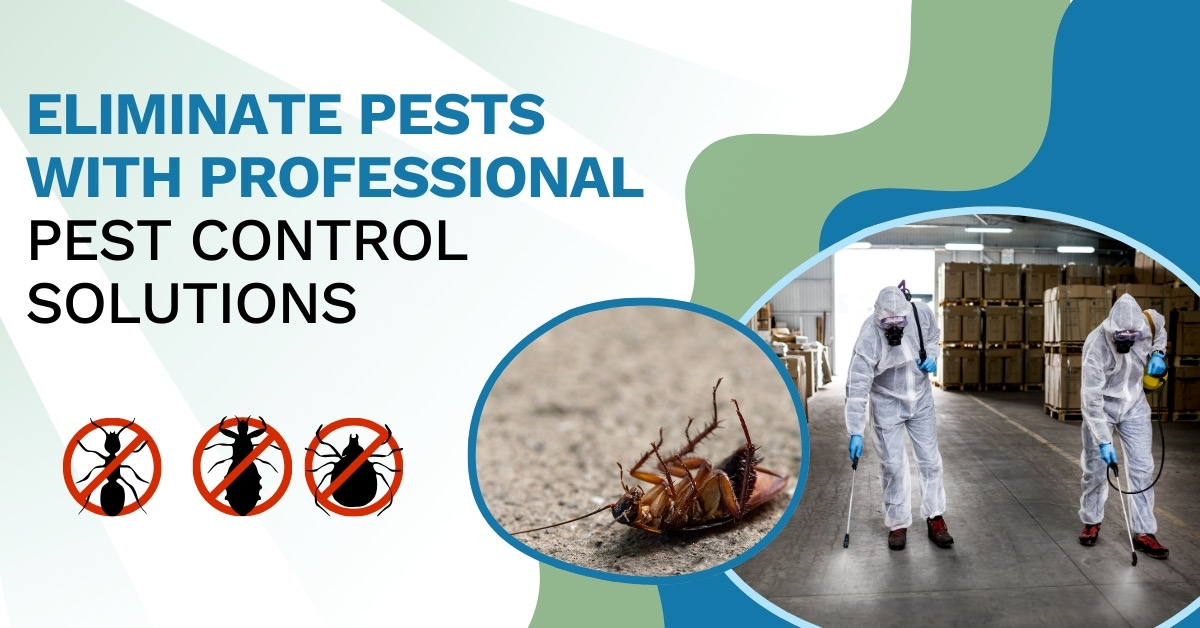Professional Pest Control Solutions from MN Pest Elimination