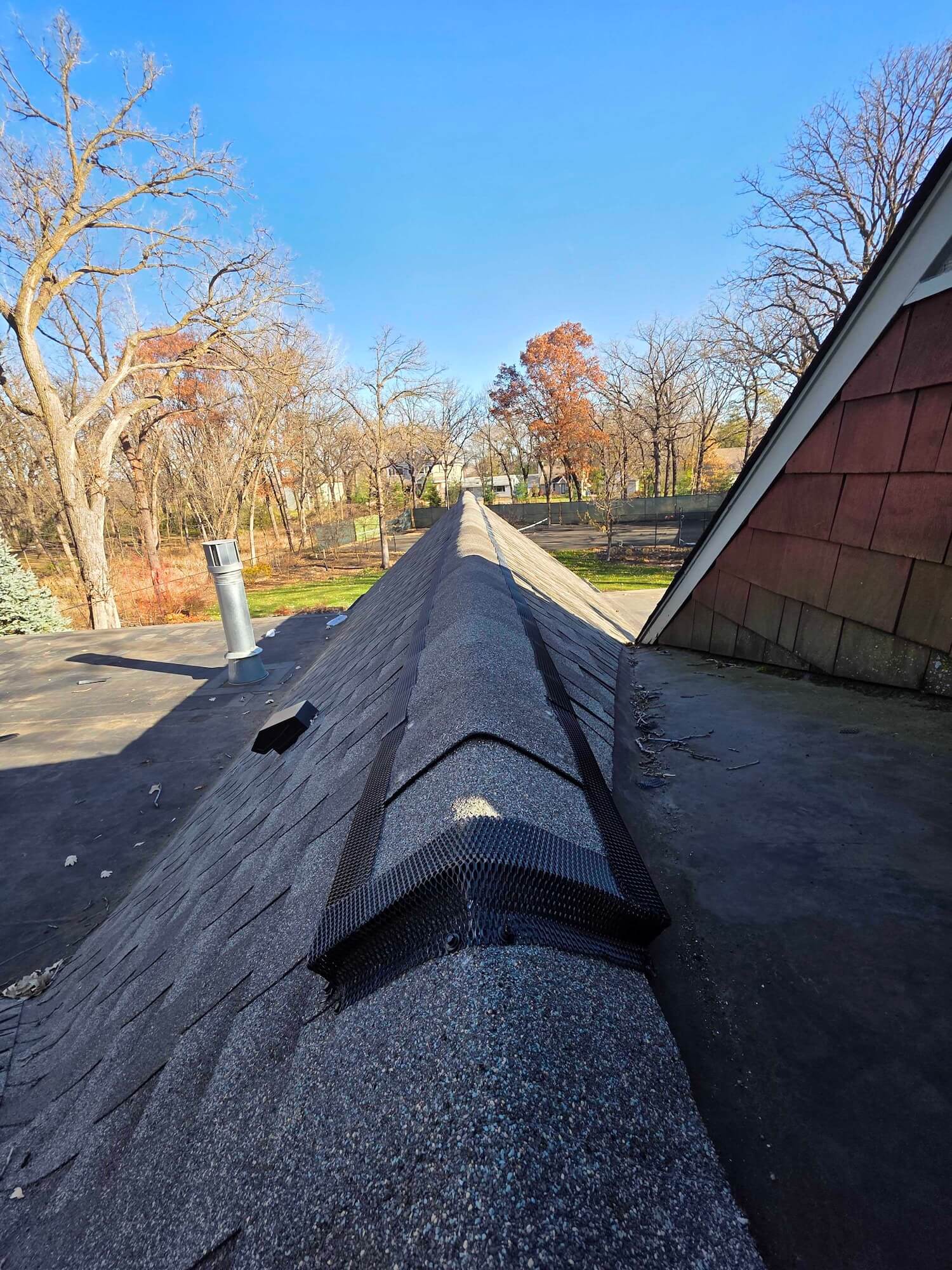 How Ridge-Guard Keeps Bats, Mice, and Squirrels Out of Your Attic