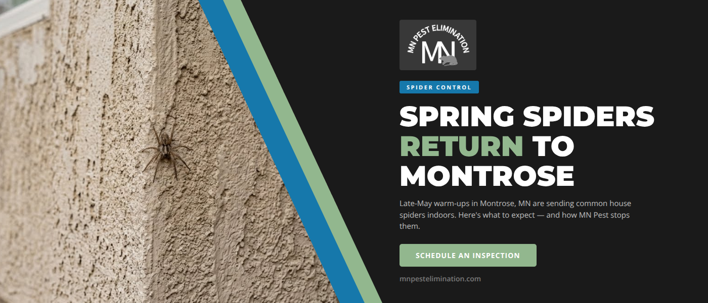 Spring Spider Control in Montrose, MN: Late